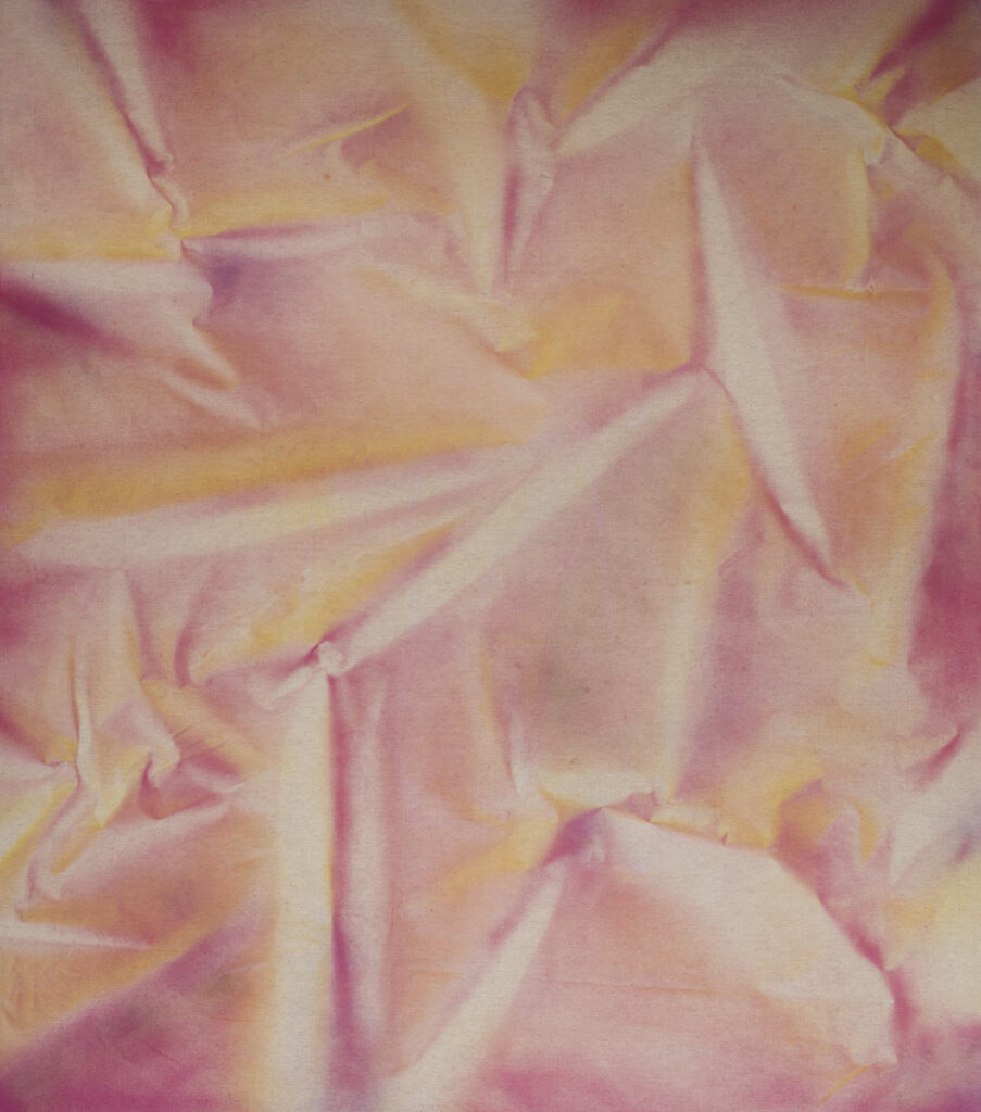 White bishop 2019 170x130cm Acrylic UV paint on canvas 1